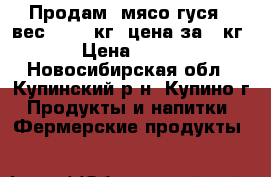 Продам  мясо гуся ( вес 3-3,5 кг) цена за 1 кг › Цена ­ 380 - Новосибирская обл., Купинский р-н, Купино г. Продукты и напитки » Фермерские продукты   